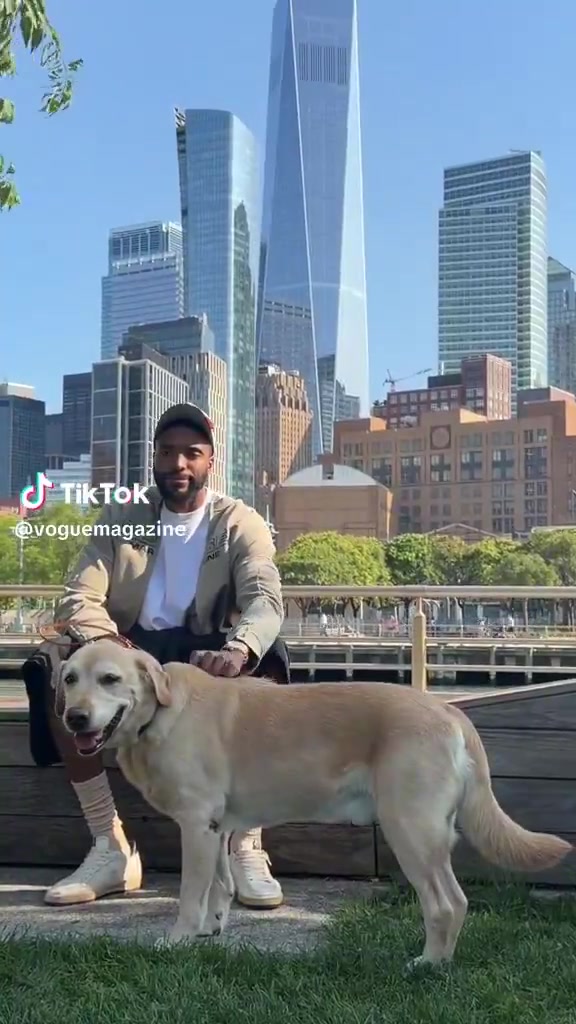 纽约市的王子！大桥牵自己的宠物犬逛街 小狗桑尼表情愉悦